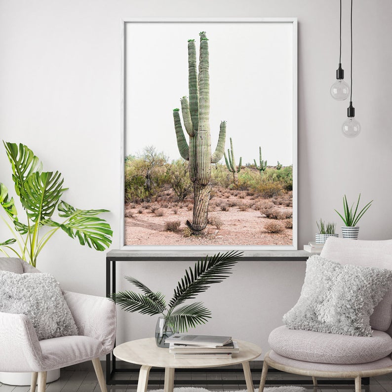 Wall art - Cacti - Canvas Prints - Poster Prints