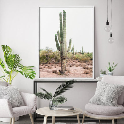 Wall art - Cacti - Canvas Prints - Poster Prints