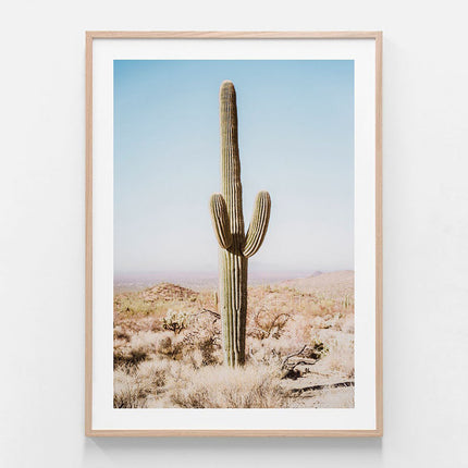 Botaniacal art prints - California Desert Cacti- Canvas Prints - Poster Prints