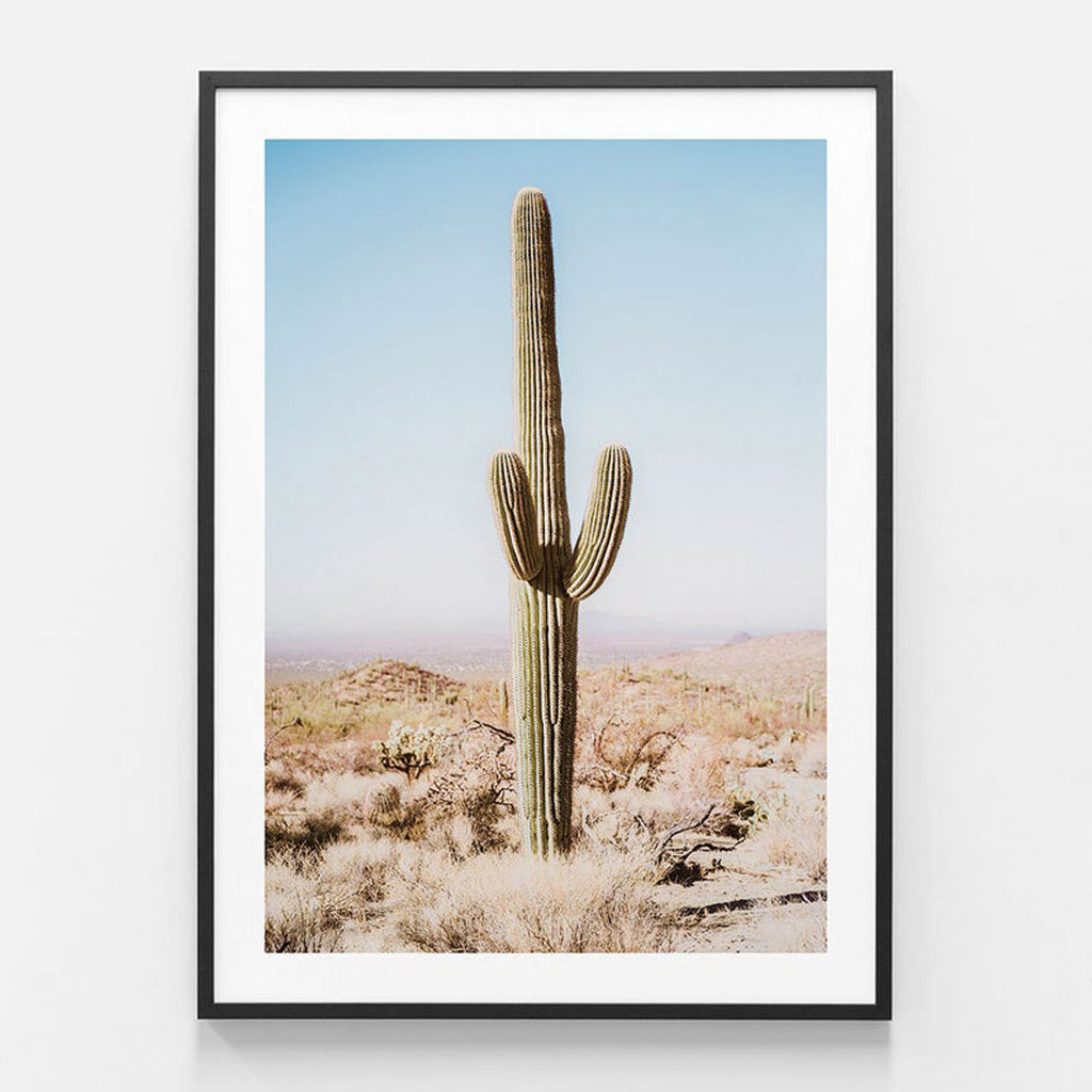 Botaniacal art prints - California Desert Cacti- Canvas Prints - Poster Prints