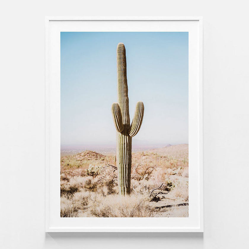 Botaniacal art prints - California Desert Cacti- Canvas Prints - Poster Prints