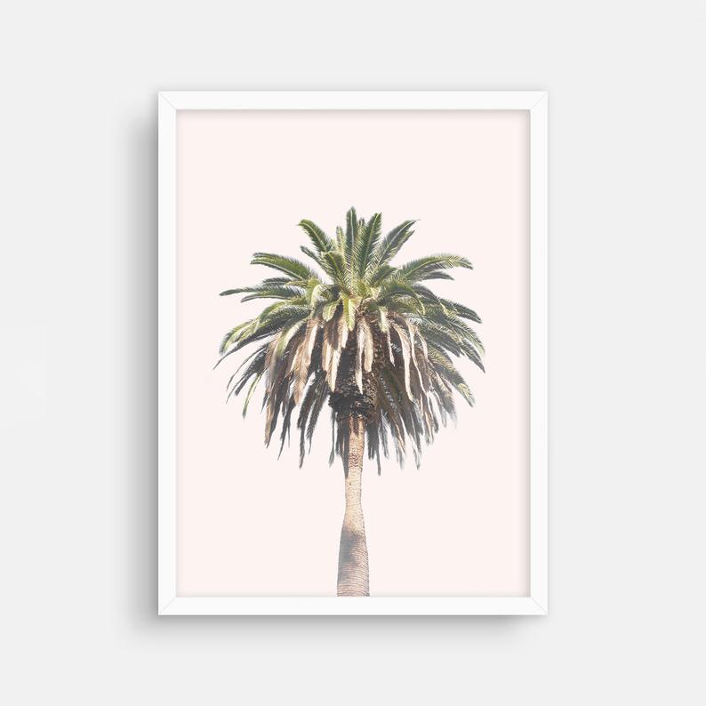 Wall art - California Palm Tree - Canvas Prints - Poster Prints