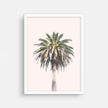 Wall art - California Palm Tree - Canvas Prints - Poster Prints