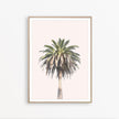 Wall art - California Palm Tree - Canvas Prints - Poster Prints