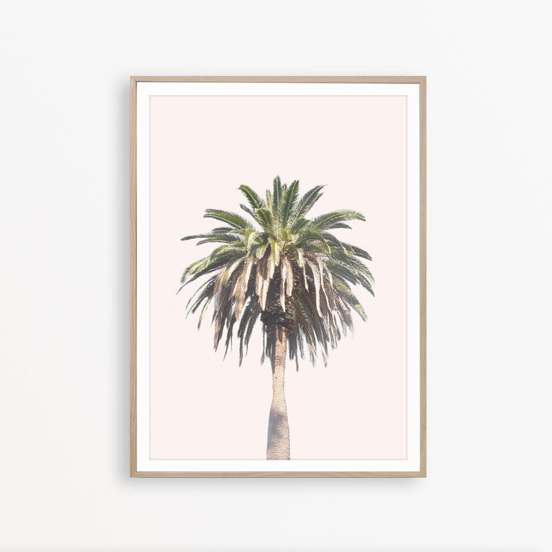 Wall art - California Palm Tree - Canvas Prints - Poster Prints