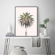 Wall art - California Palm Tree - Canvas Prints - Poster Prints