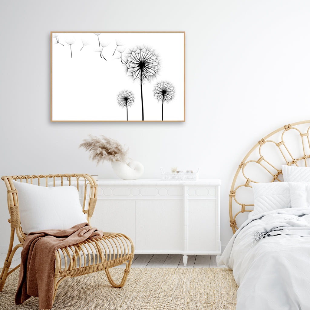 Wall Art - Dandelions - Canvas Prints-Poster Prints