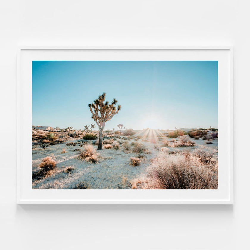 Landscape art prints - Desert Sunburst - Canvas Prints - Poster Prints
