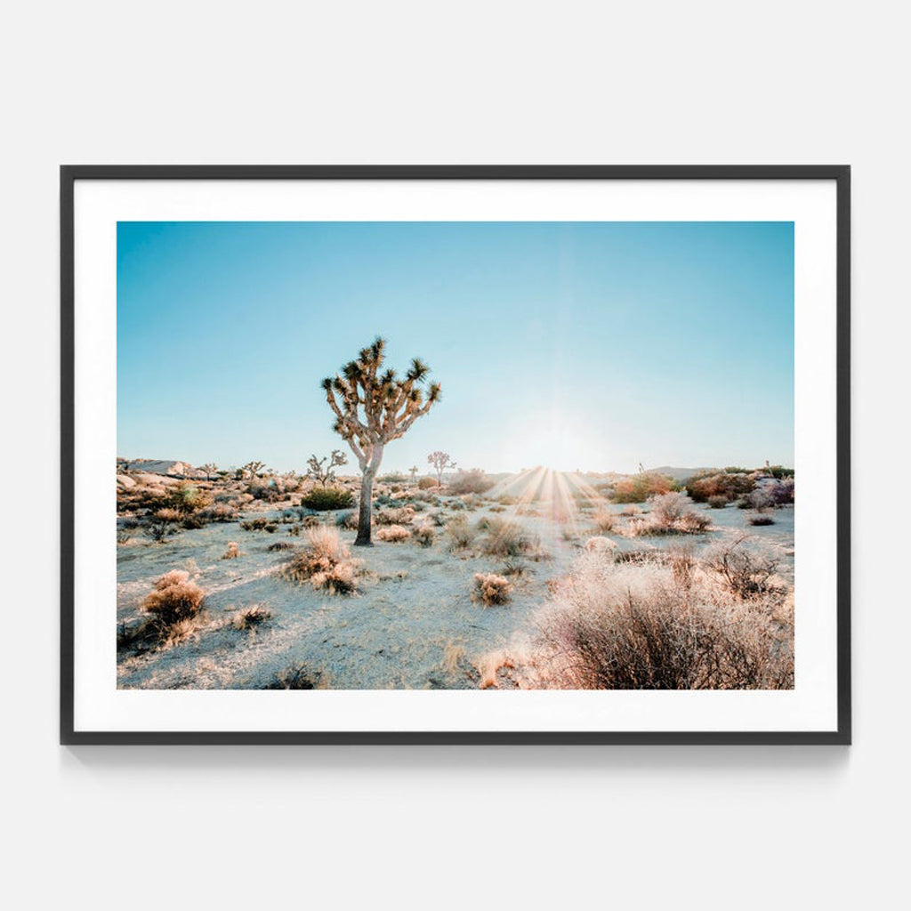 Landscape art prints - Desert Sunburst - Canvas Prints - Poster Prints