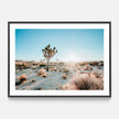 Landscape art prints - Desert Sunburst - Canvas Prints - Poster Prints