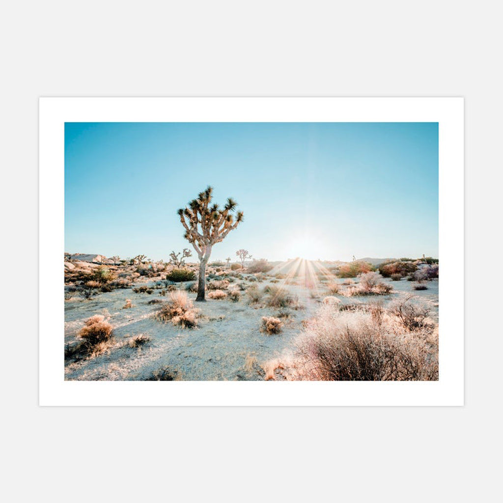 Landscape art prints - Desert Sunburst - Canvas Prints - Poster Prints