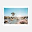 Landscape art prints - Desert Sunburst - Canvas Prints - Poster Prints