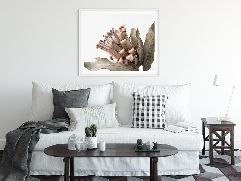 Wall Art - Dried Protea - Canvas Print - Poster Print