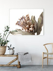 Wall Art - Dried Protea - Canvas Print - Poster Print