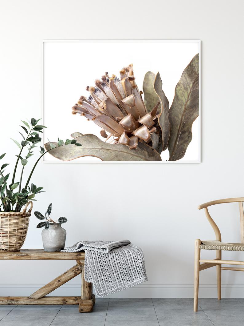 Wall Art - Dried Protea - Canvas Print - Poster Print