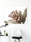 Wall Art - Dried Protea - Canvas Print - Poster Print