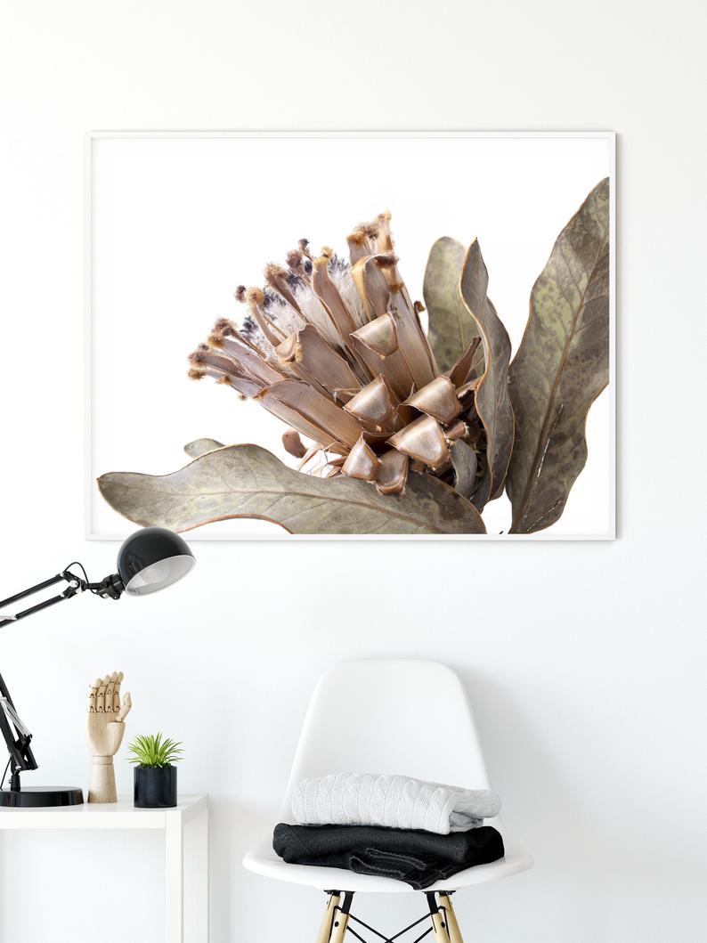 Wall Art - Dried Protea - Canvas Print - Poster Print