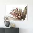 Wall Art - Dried Protea - Canvas Print - Poster Print