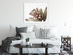 Wall Art - Dried Protea - Canvas Print - Poster Print