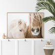 Wall art - Horses - Canvas Prints - Poster Prints