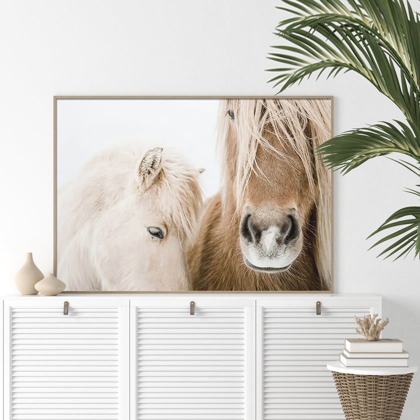 Wall art - Horses - Canvas Prints - Poster Prints