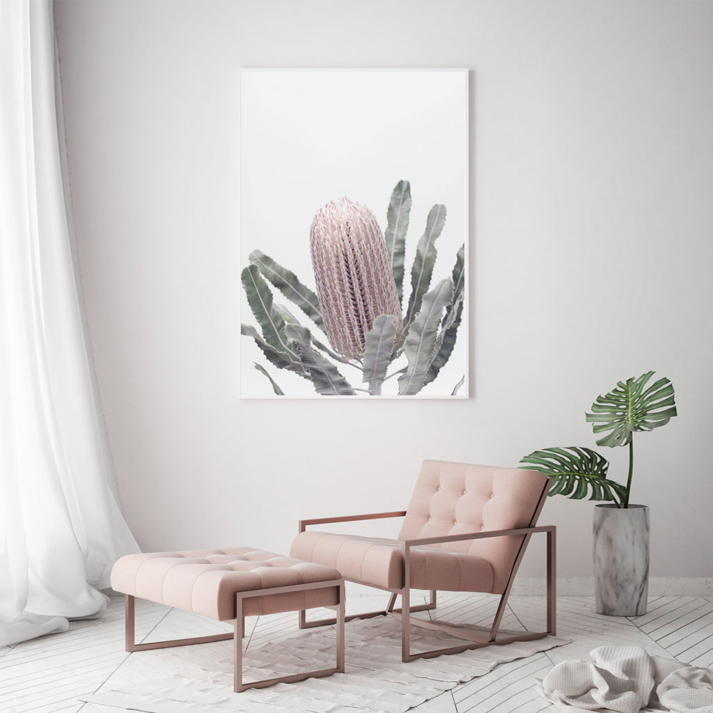 Botaniacal art prints - Banksia - Canvas Prints - Poster Prints