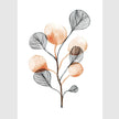 Wall Art - Flowers in your hair 3 sets - Poster Prints -Canvas Prints
