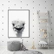 Wall Art - Emu - Canvas Prints-Poster Prints