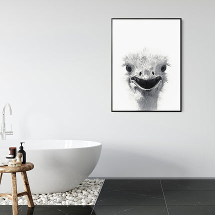 Wall Art - Emu - Canvas Prints-Poster Prints