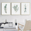 Wall Art  - Eucalyptus Plant 3 Sets - Poster Prints -Canvas Prints