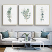 Wall Art  - Eucalyptus Plant 3 Sets - Poster Prints -Canvas Prints