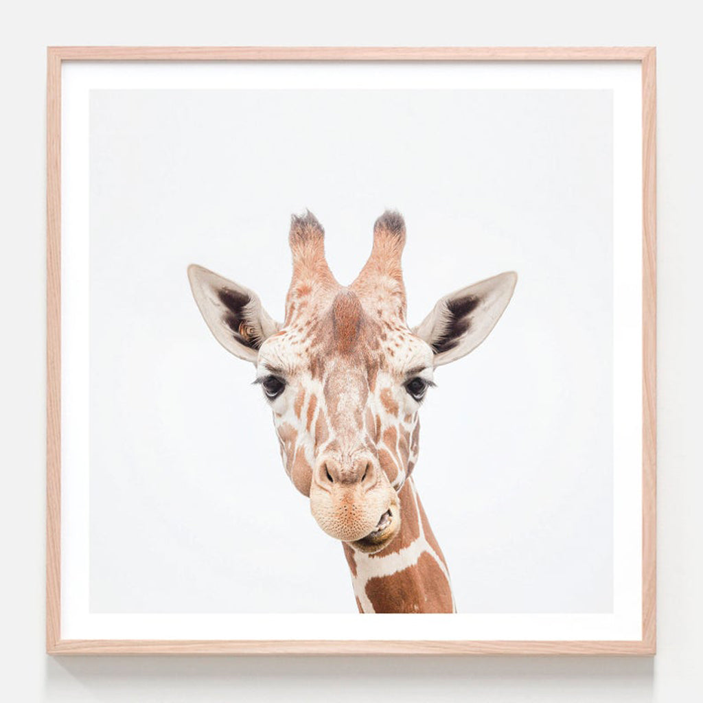 Animals Art Prints - Giraffe Print - Canvas Prints- Poster Prints