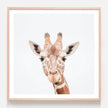 Animals Art Prints - Giraffe Print - Canvas Prints- Poster Prints