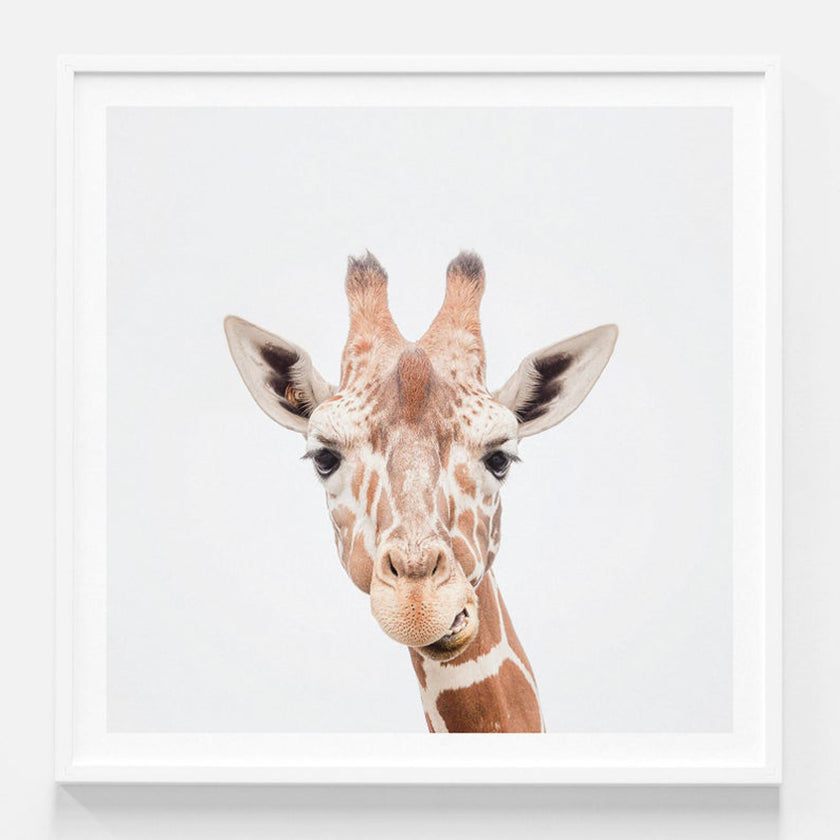 Animals Art Prints - Giraffe Print - Canvas Prints- Poster Prints