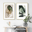 Wall Art - Golden Monstera Leaves 3 sets - Poster Prints -Canvas Prints