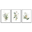 Wall Art  - Green and Gold Watercolor Botanical 3 Sets - Poster Prints -Canvas Prints
