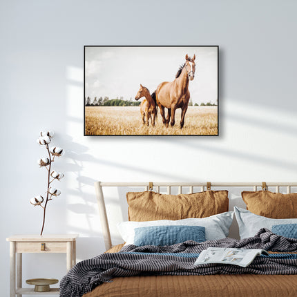 Wall Art - Horses in Field - Canvas Prints-Poster Prints