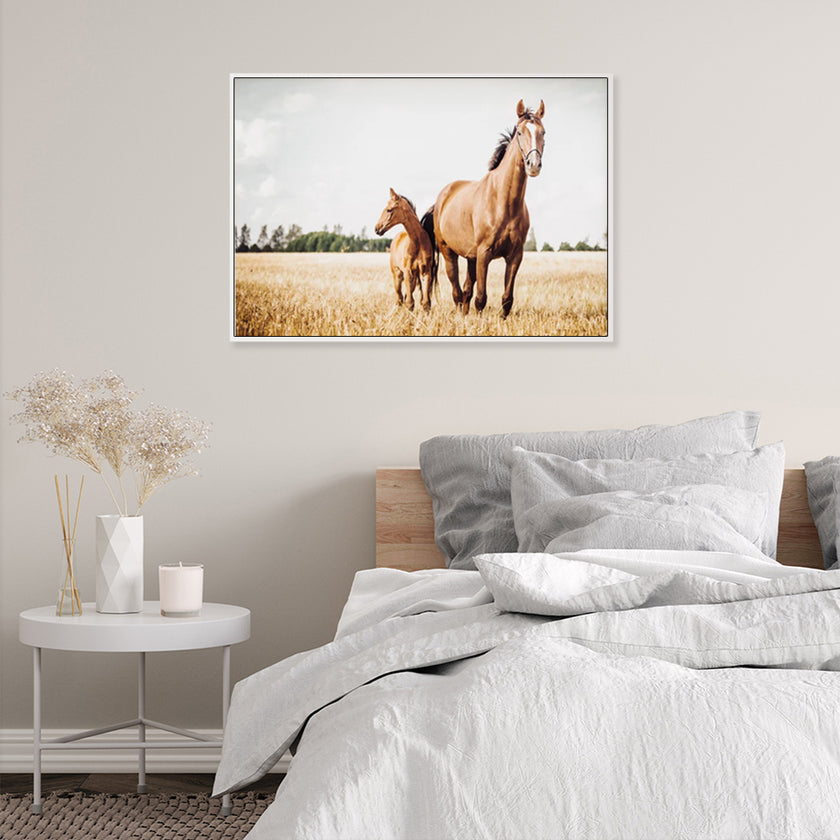 Wall Art - Horses in Field - Canvas Prints-Poster Prints