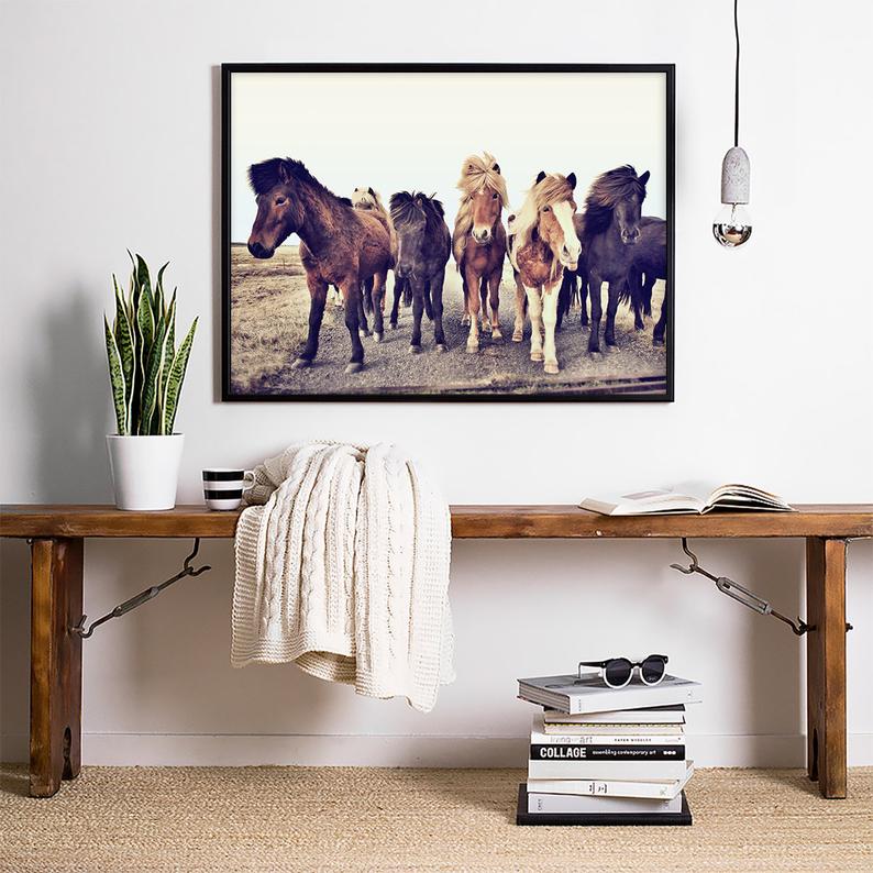 Wall art - Icelandic Horses - Canvas Prints - Poster Prints