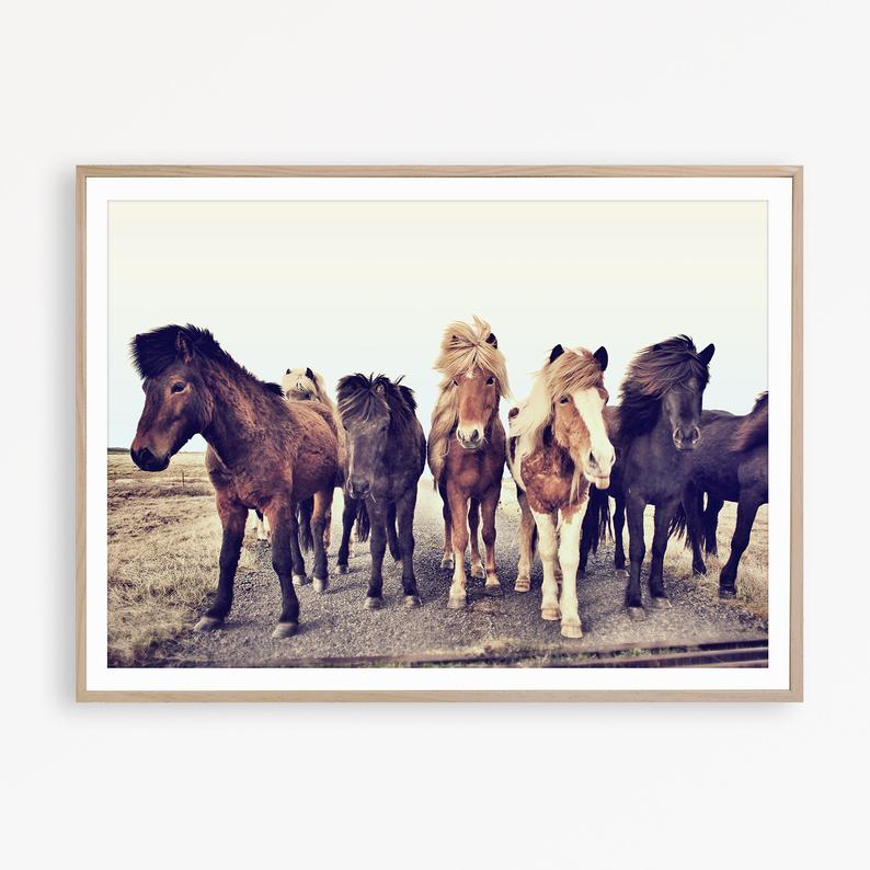 Wall art - Icelandic Horses - Canvas Prints - Poster Prints