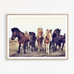 Wall art - Icelandic Horses - Canvas Prints - Poster Prints