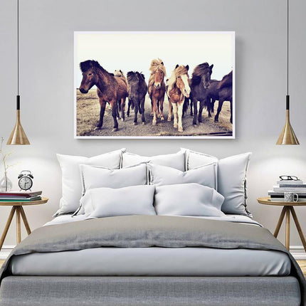 Wall art - Icelandic Horses - Canvas Prints - Poster Prints