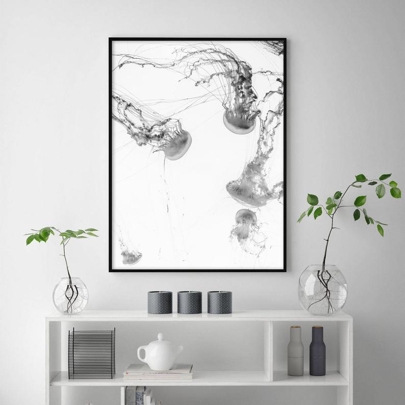 Wall art - Jellyfish - Canvas Prints - Poster Prints