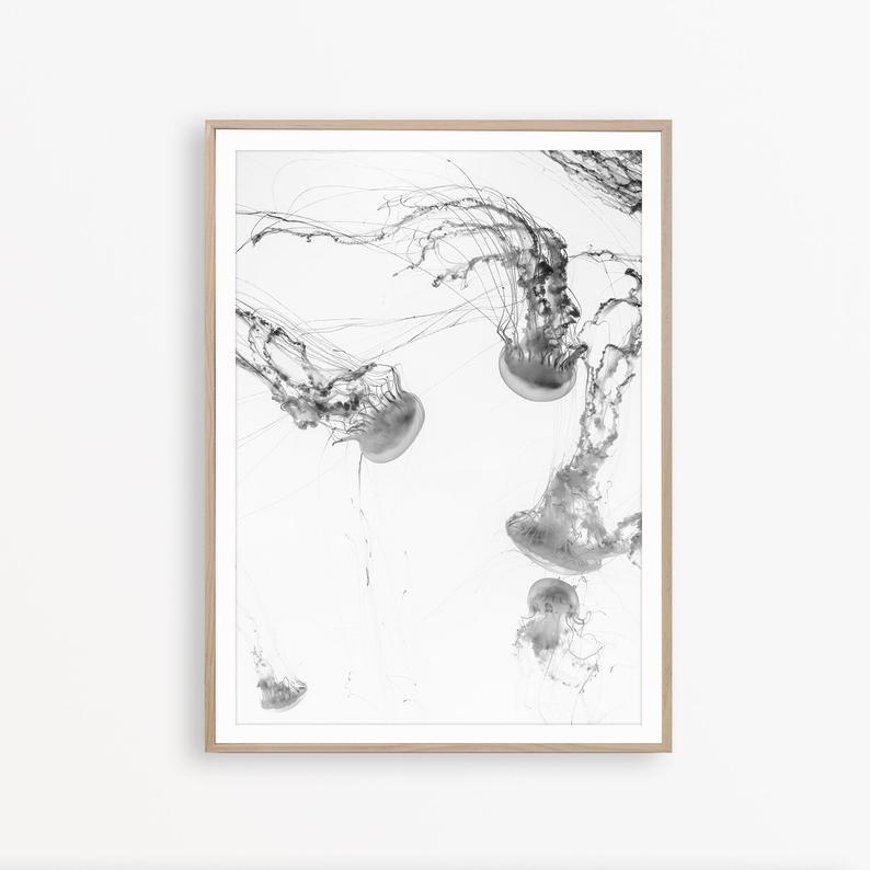 Wall art - Jellyfish - Canvas Prints - Poster Prints