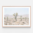 Botaniacal art prints -Joshua Tree 2- Canvas Prints - Poster Prints