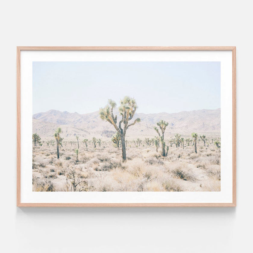 Botaniacal art prints -Joshua Tree 2- Canvas Prints - Poster Prints