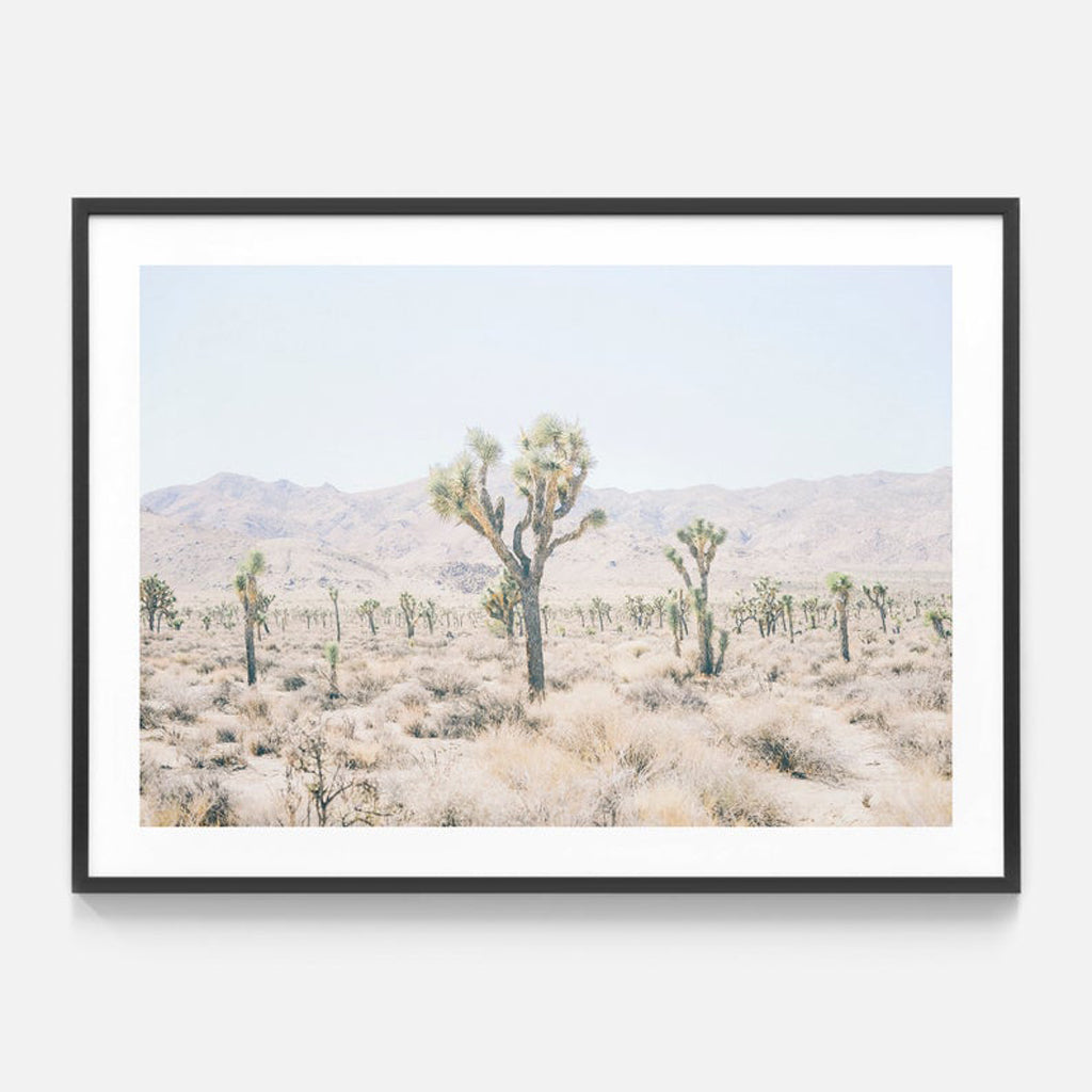 Botaniacal art prints -Joshua Tree 2- Canvas Prints - Poster Prints