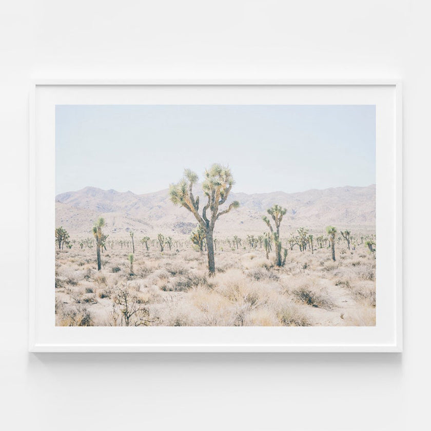 Botaniacal art prints -Joshua Tree 2- Canvas Prints - Poster Prints