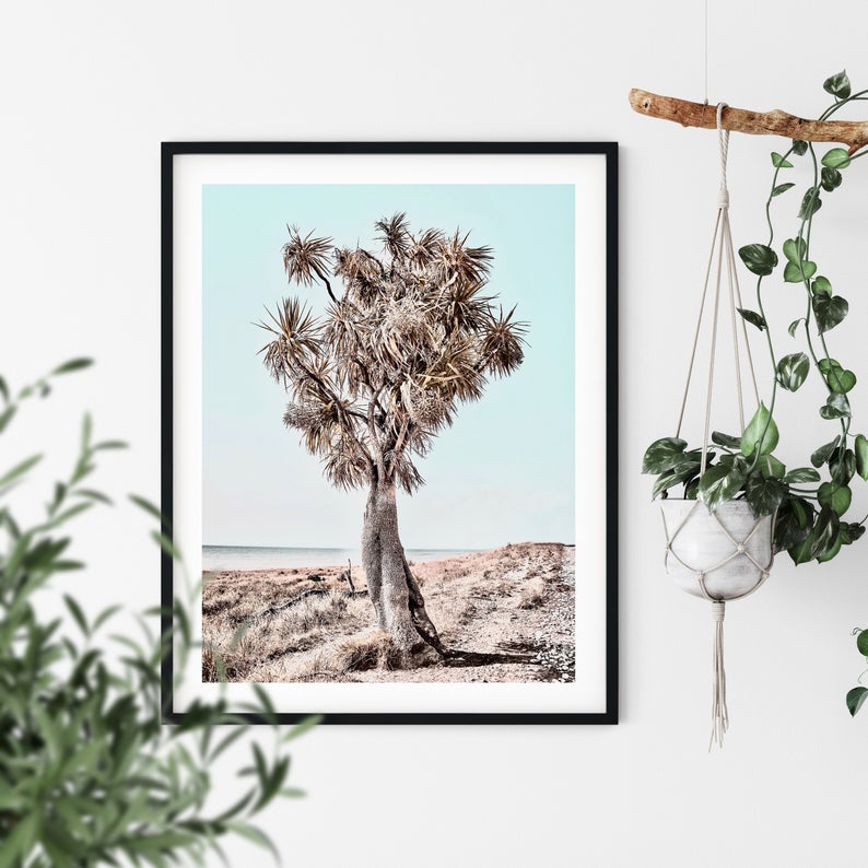 Wall art - Desert Joshua Tree - Canvas Prints - Poster Prints