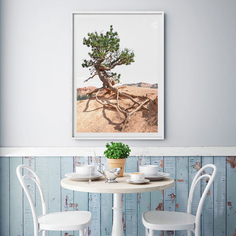 Wall art - Joshua Tree - Canvas Prints - Poster Prints